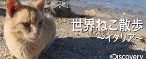 nekosanpo.png